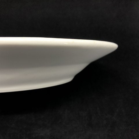 Antique Mussel painted Fluted dinner plate