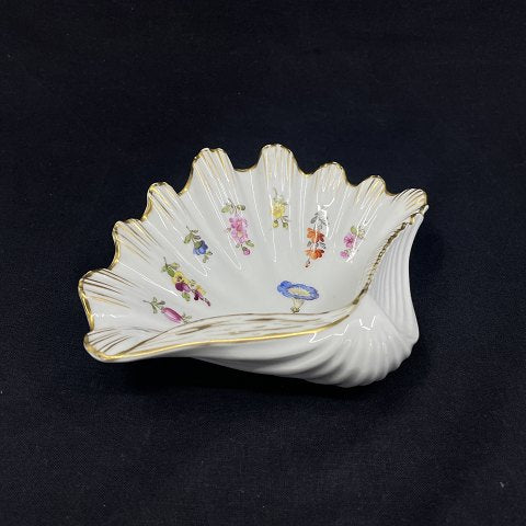 Sjælden Saksisk blomst musling