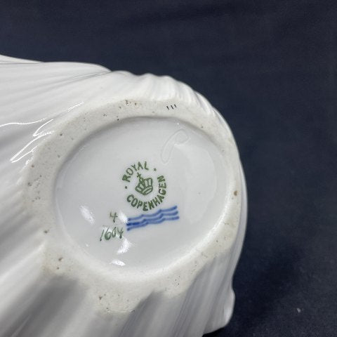 Sjælden Saksisk blomst musling