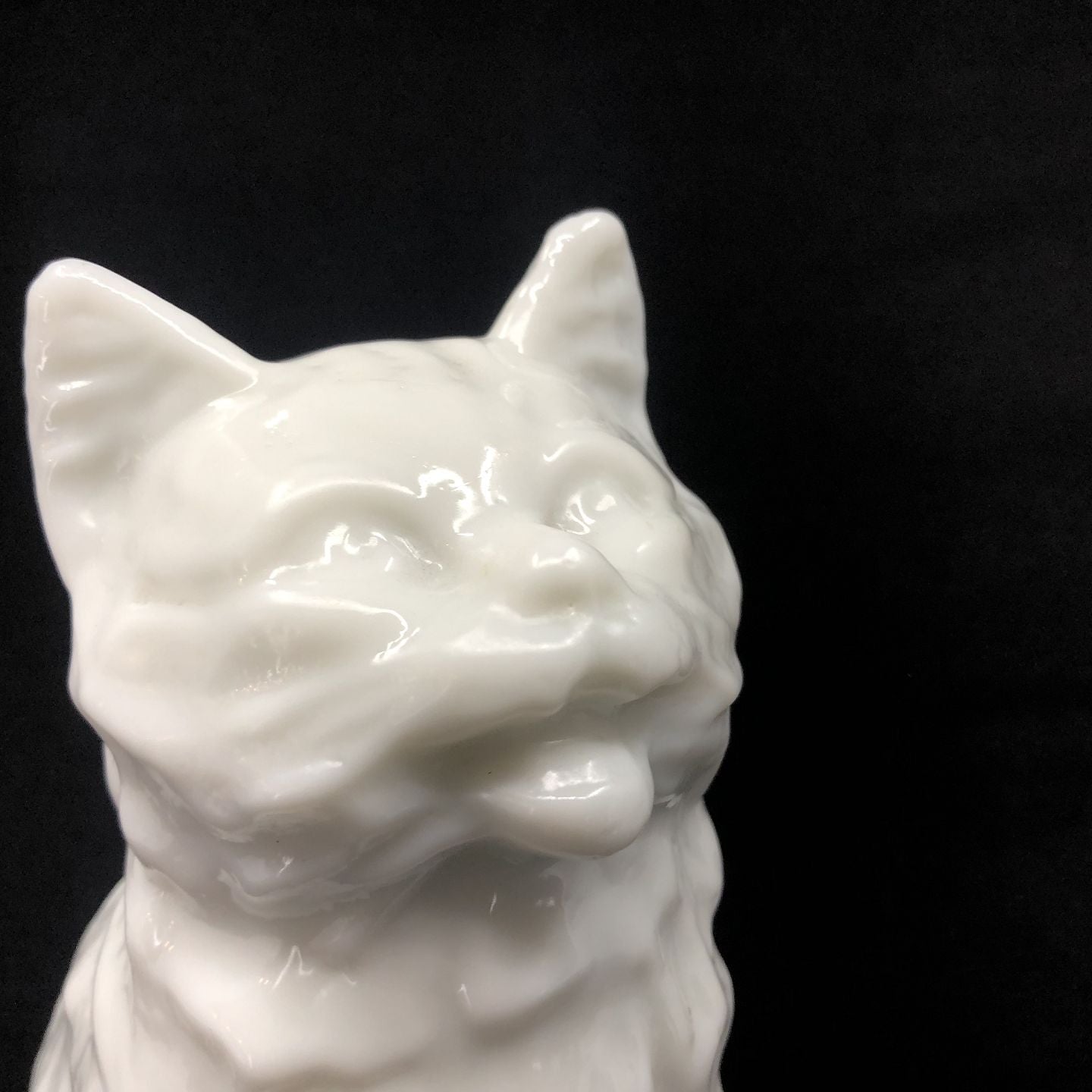 Rare opaline cat