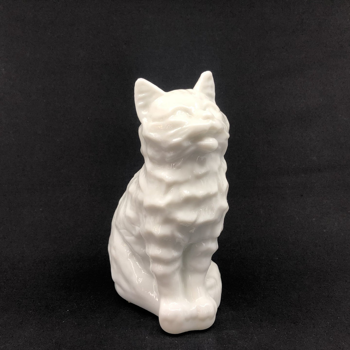 Rare opaline cat