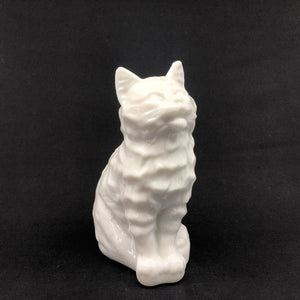 Rare opaline cat