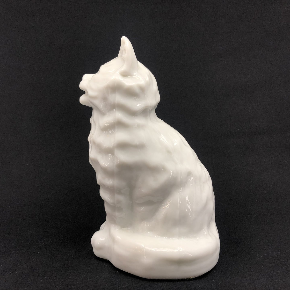 Rare opaline cat