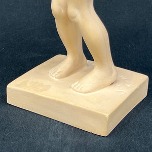 Venus Kalipygos - Terracota