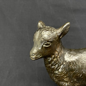 Just Andersen goat kid in disco metal