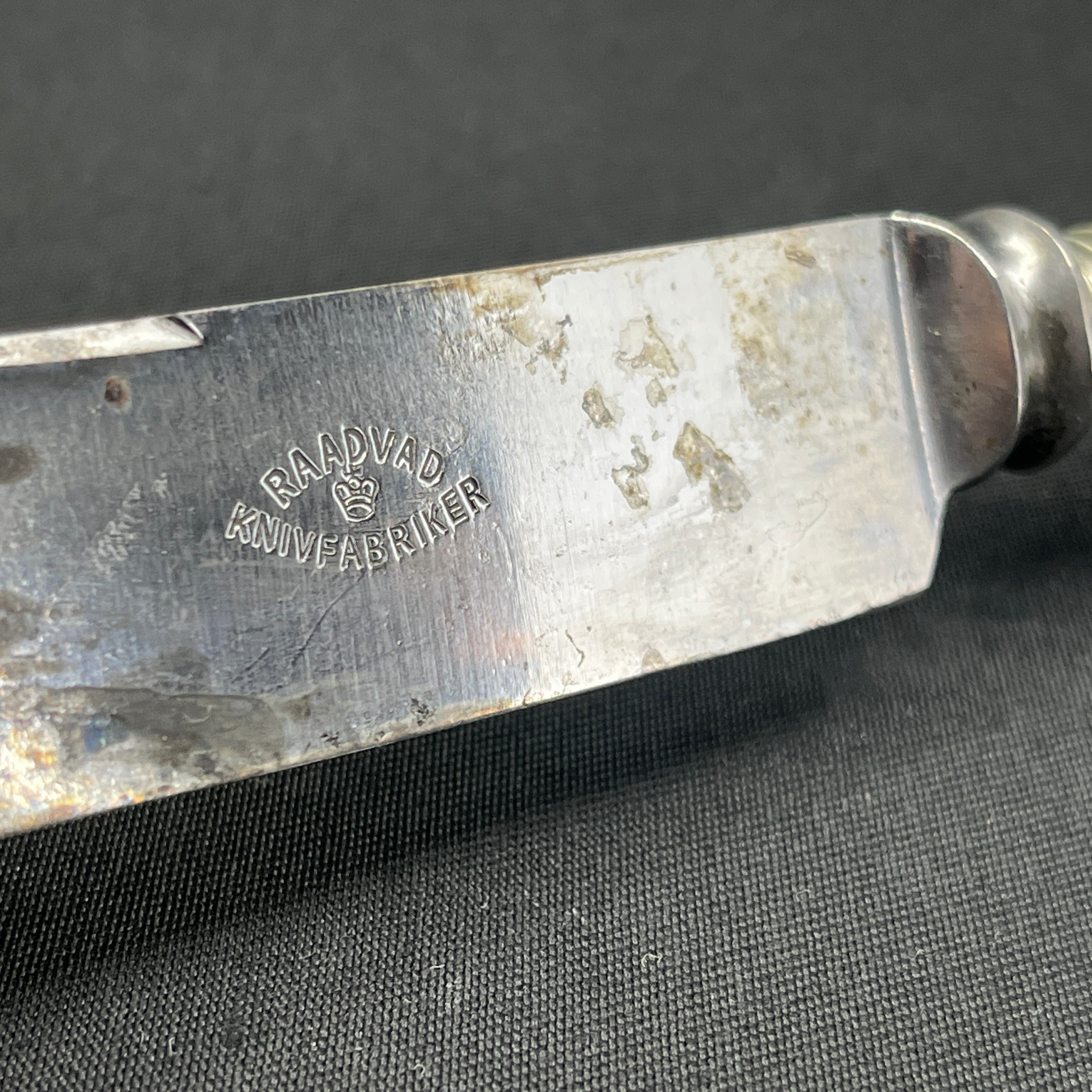 Mussel painted Fluted dinner knife