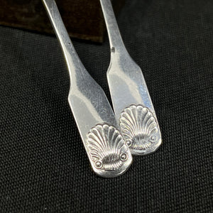 Mussel salt spoon in silver
