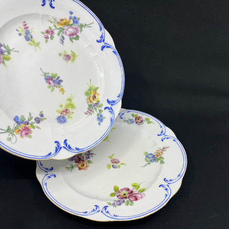 A pair of Sevres plates with scattered flowers