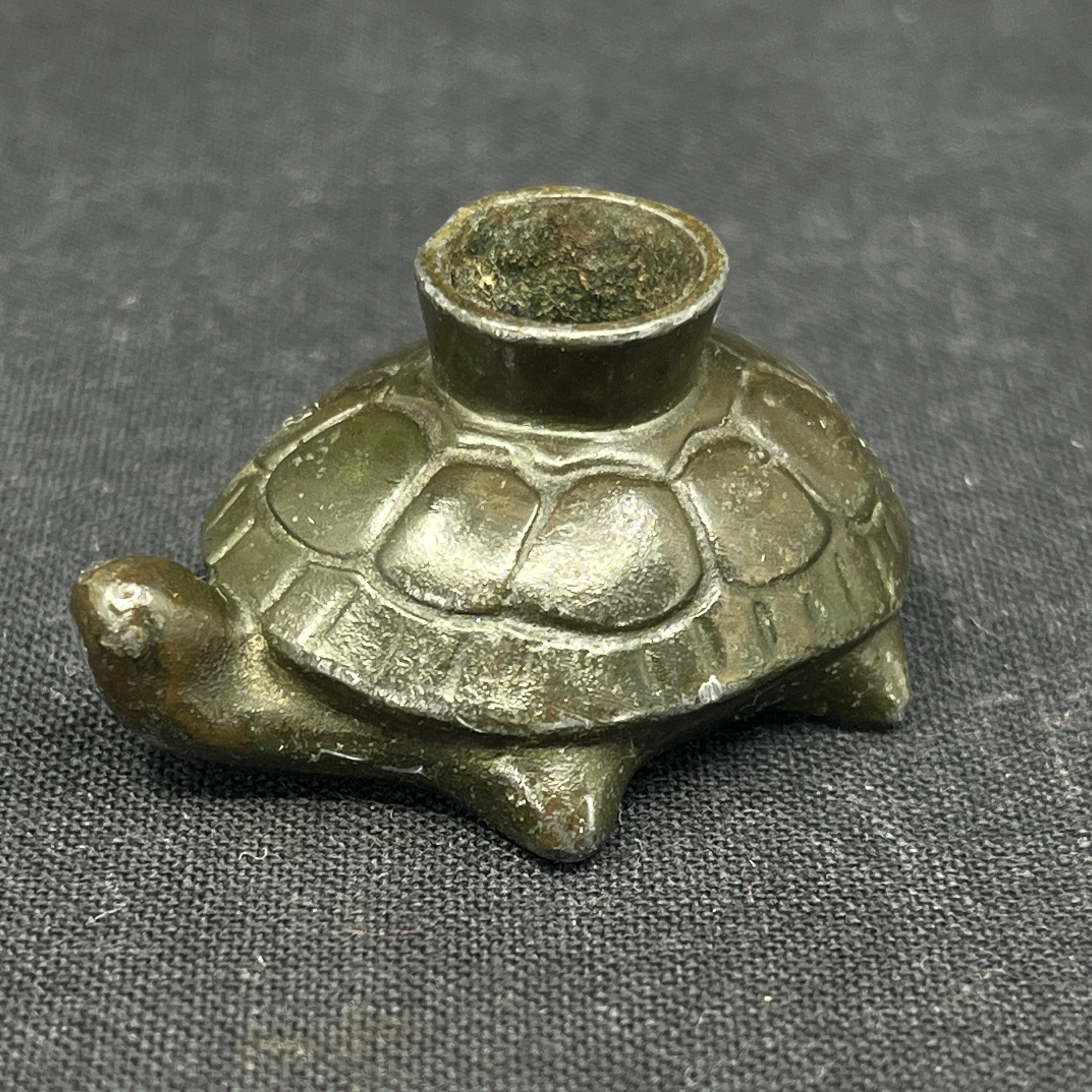 Just Andersen turtle