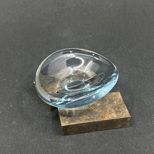 Mini akva Selandia dish