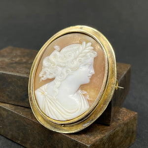 Cameo brooch set in 8 carat gold