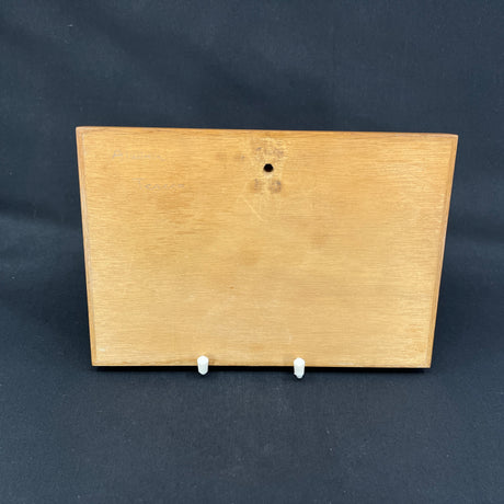 Aluminia relief in a wooden frame