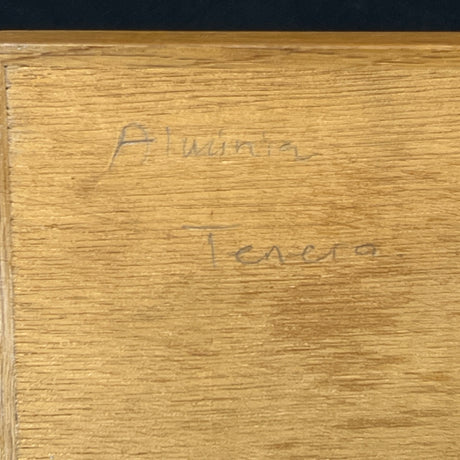 Aluminia relief in a wooden frame