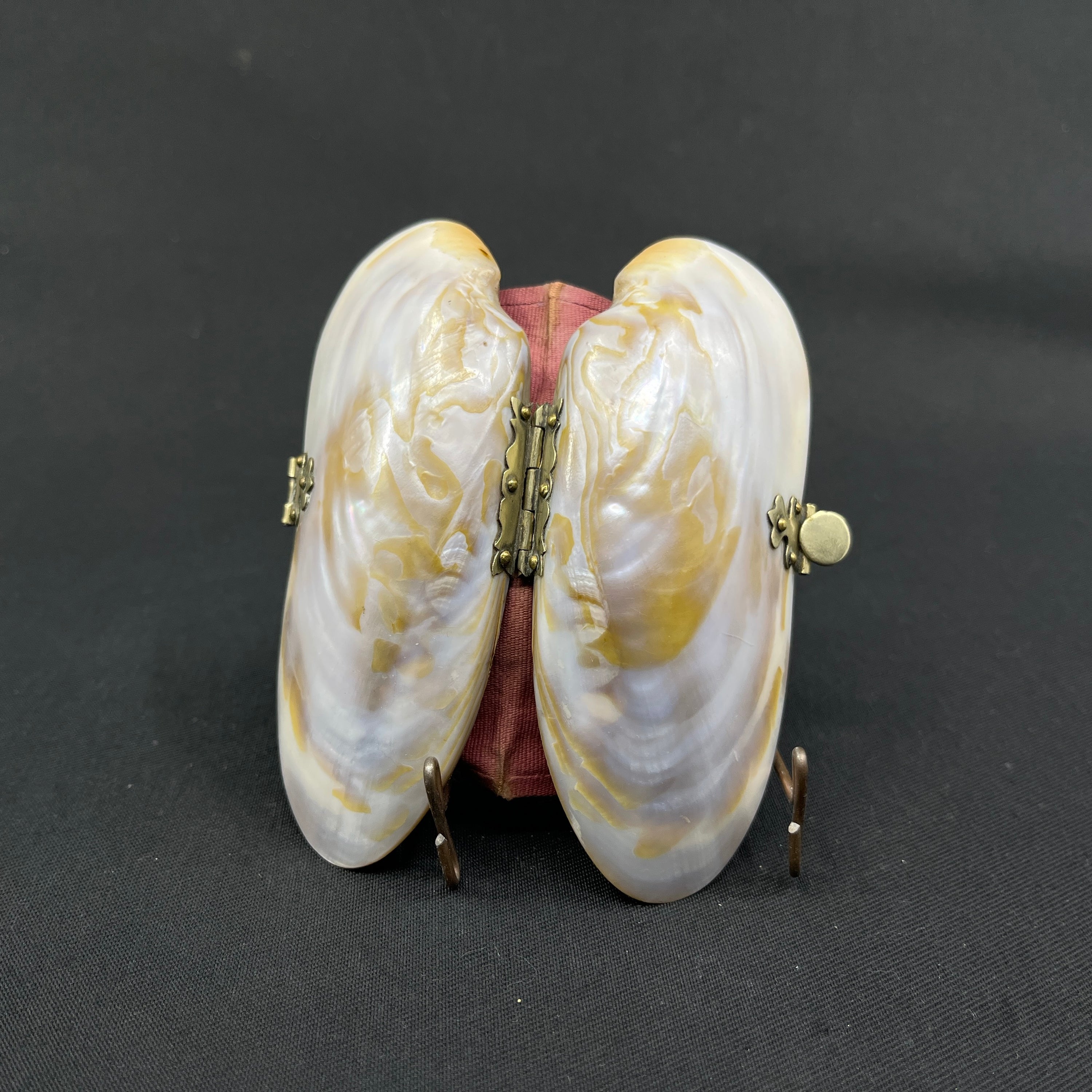 Flot portemonnaie fra 1800 tallets midte