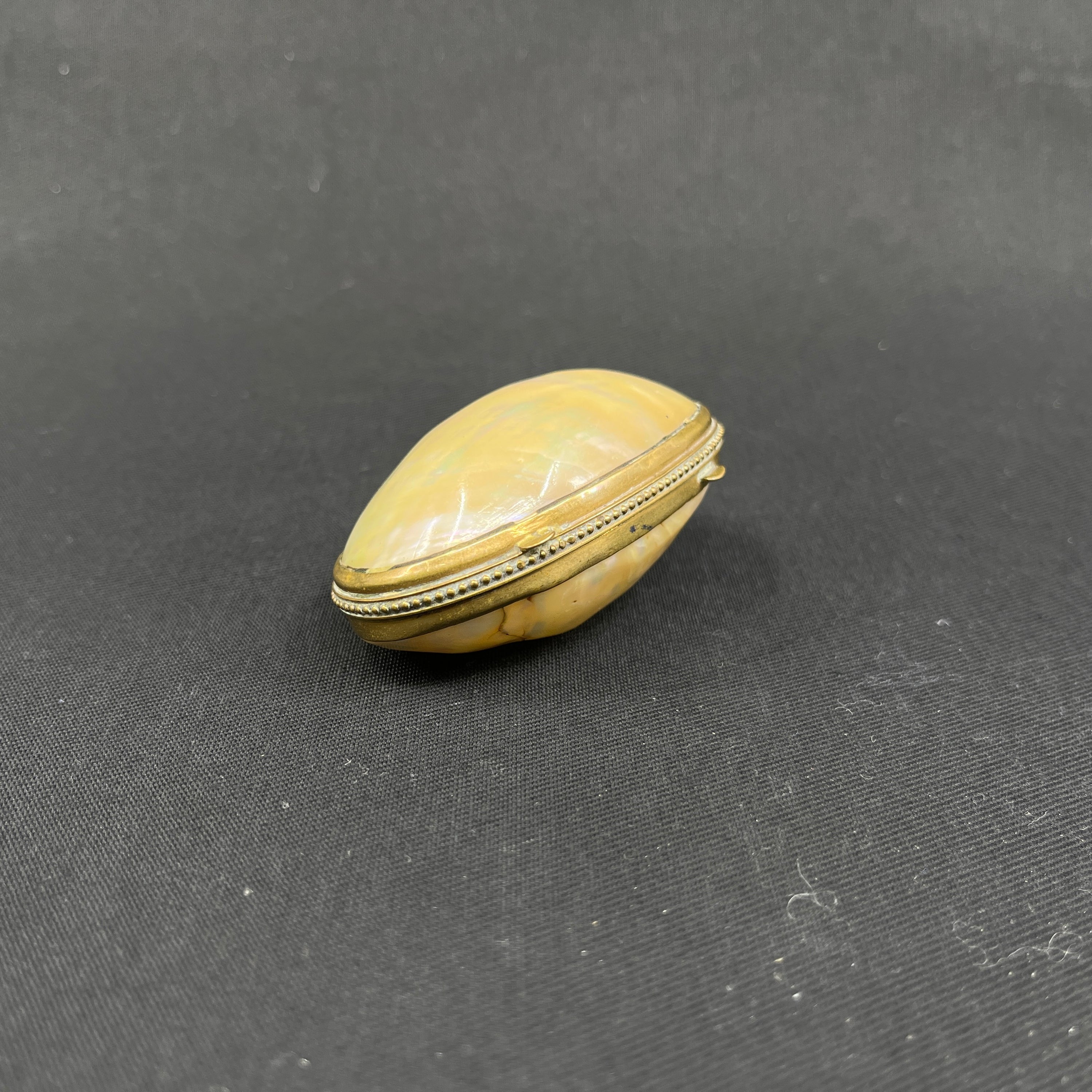 Lille fin portemonnaie i muslingeskal fra 1700 tallets slutning