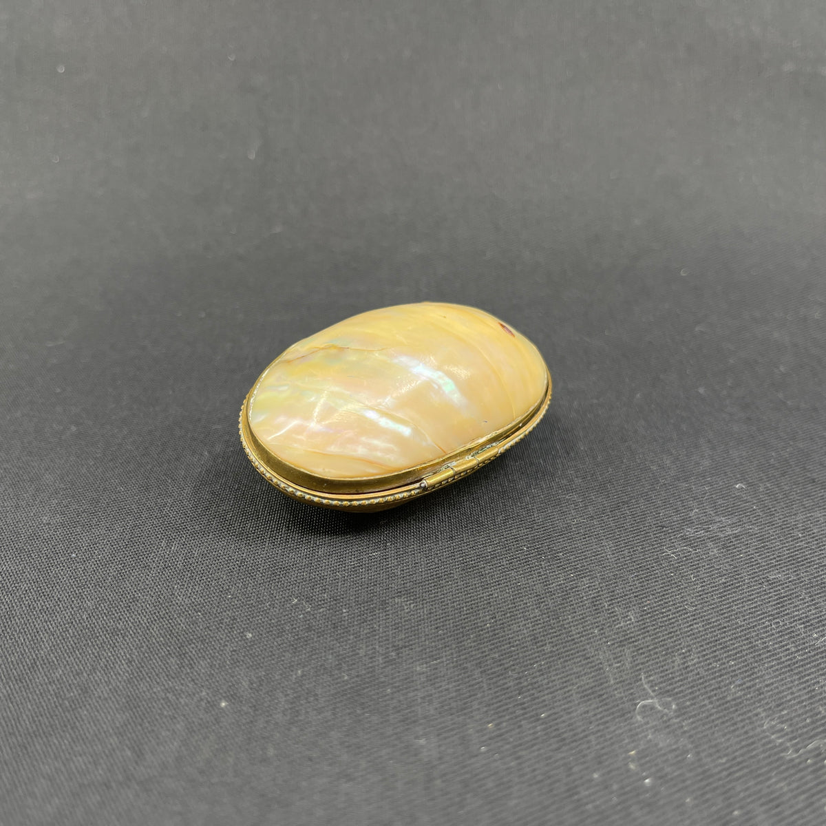 Small fine purse in seashell from the late 1700s