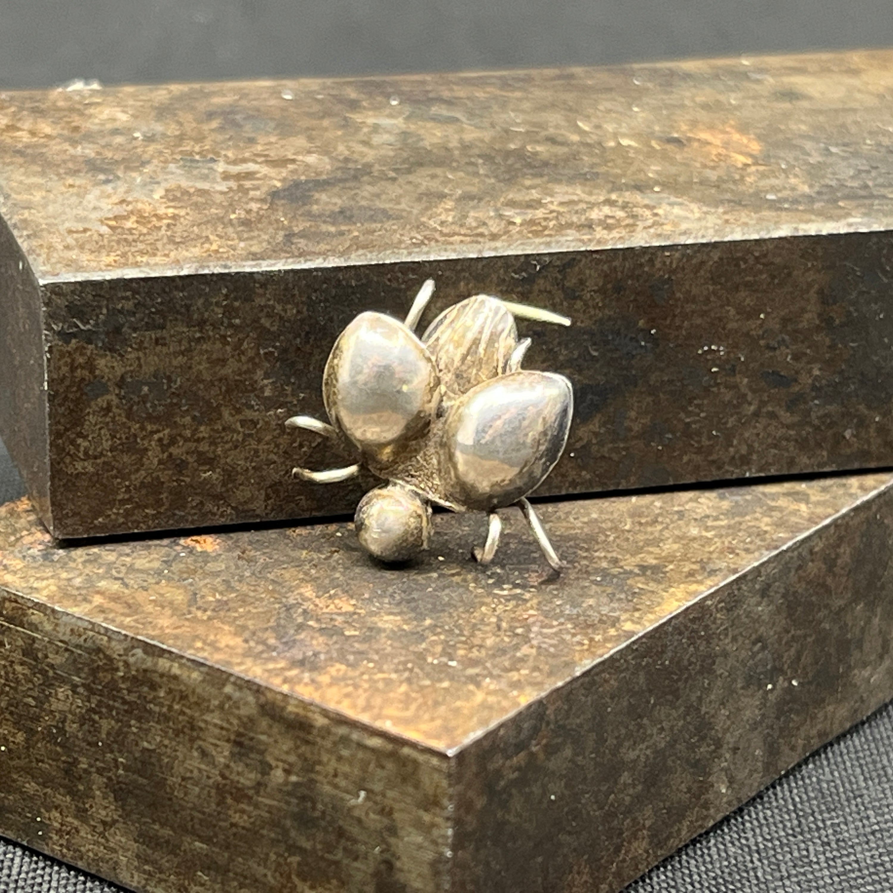 Anstændighedsbroche - flue