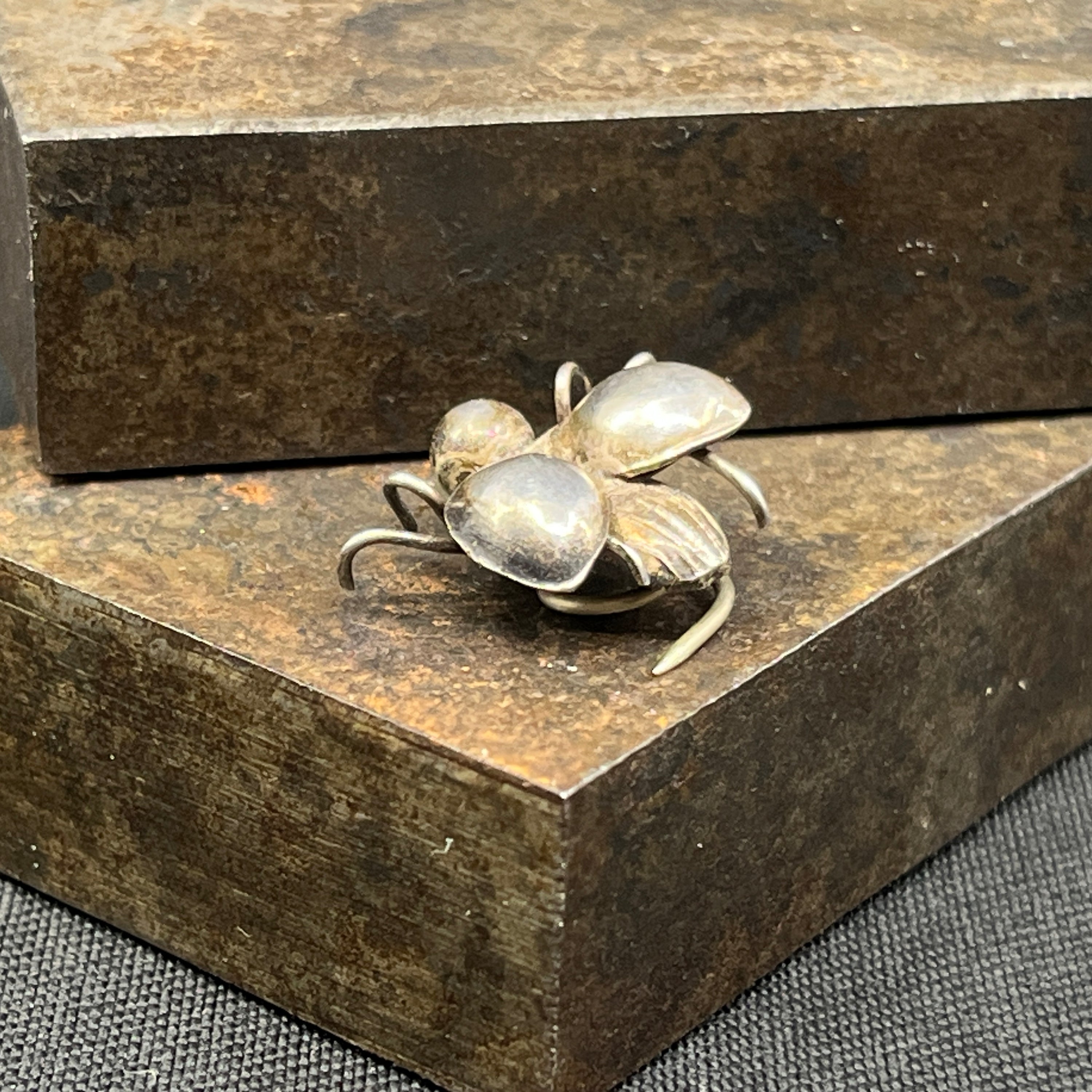 Anstændighedsbroche - flue