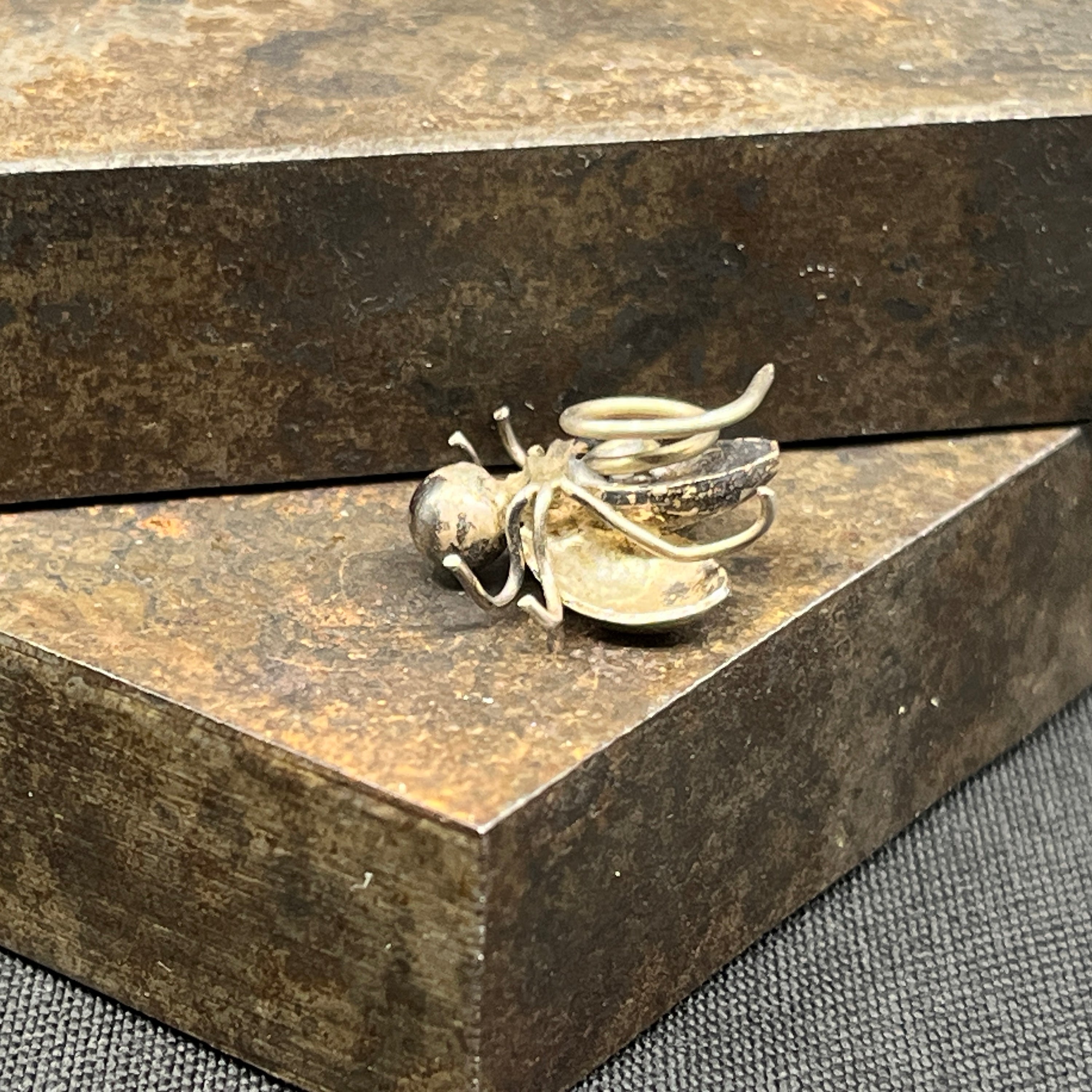 Anstændighedsbroche - flue