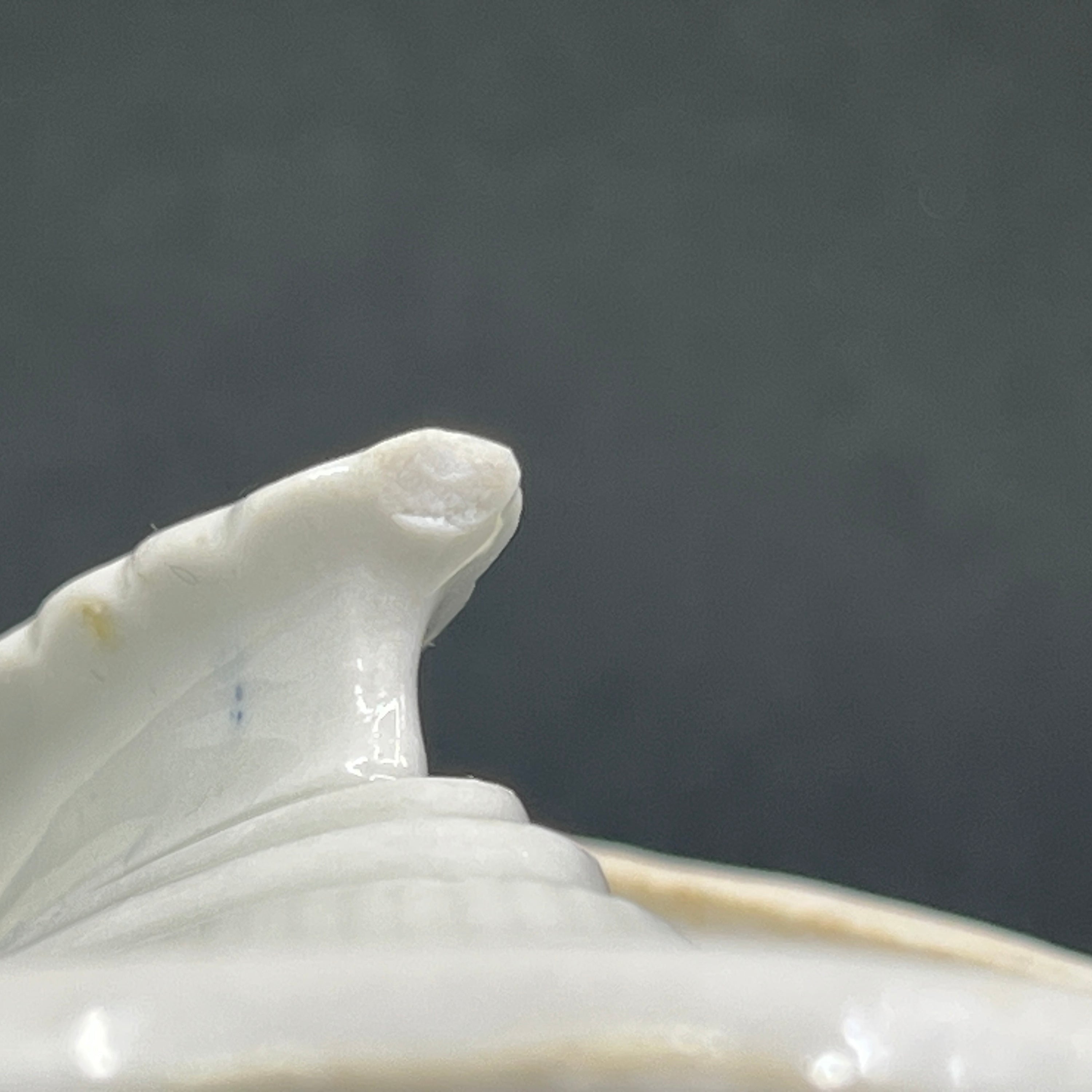 Mussel painted Fluted deep plate from the 1790s