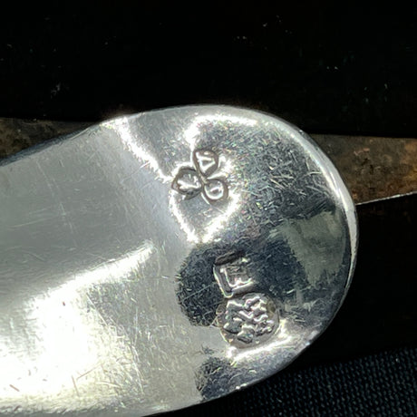 A pair of 18th century spoons from Liegnitz