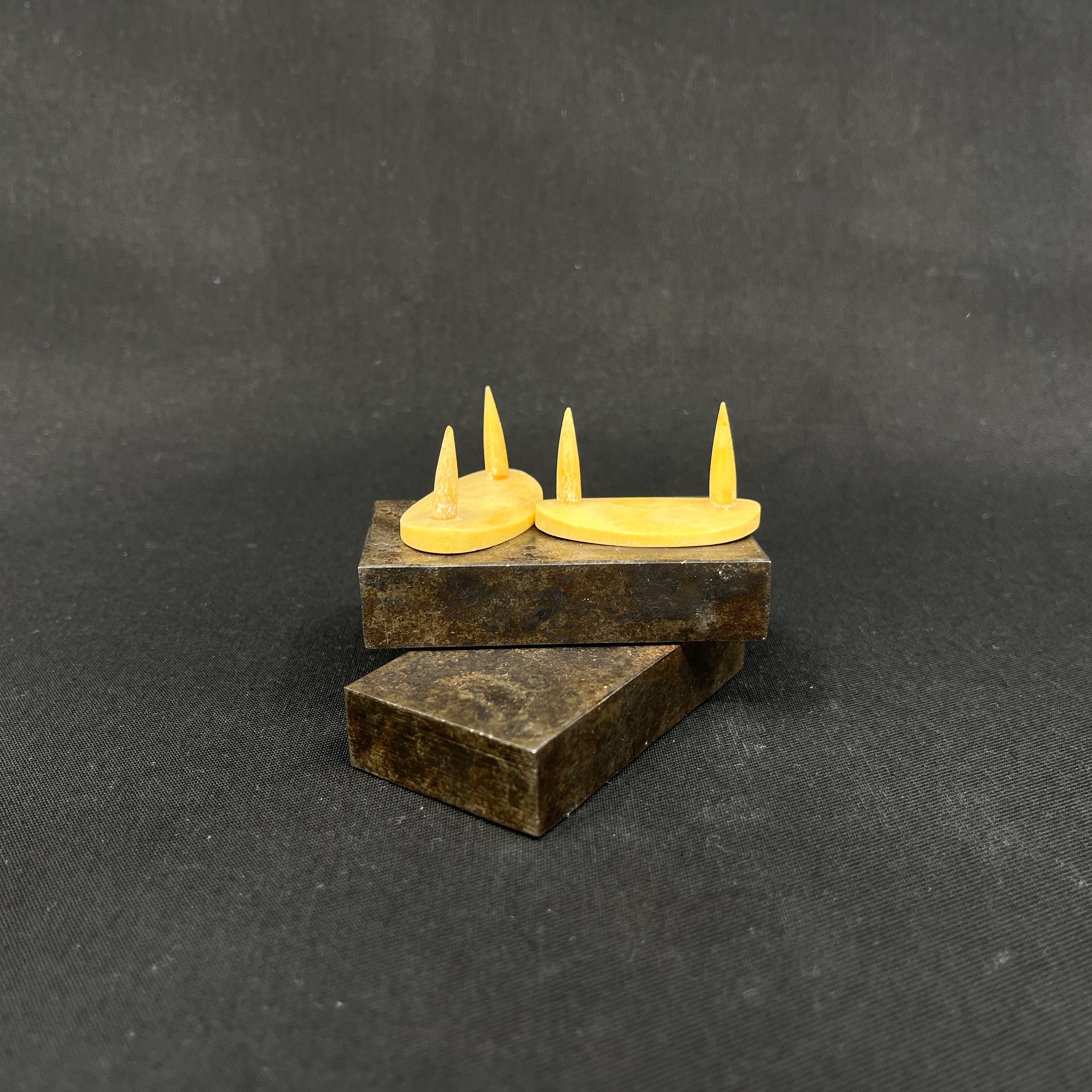 Cheese buttons in bone