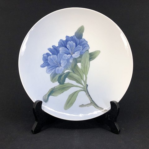 Royal Copenhagen art nouveau platte med blå blomster